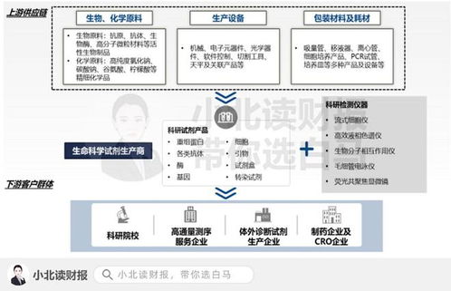 医药新兴行业 信息技术咨询服务的百亿蓝海市场与十倍增长机会